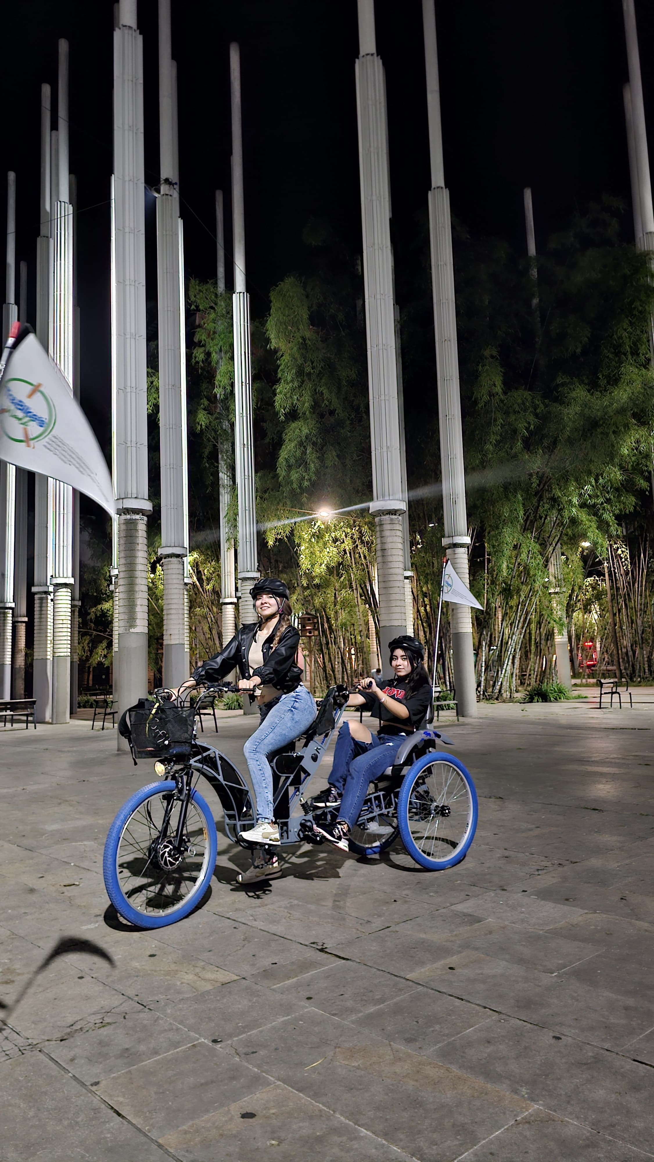 Electric Bike